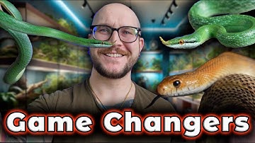 Top 5 Reptiles To Breed That You’ve Never Heard Of