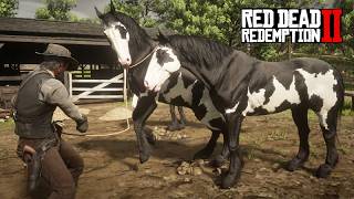 Pegando o mais belo dos MUSTANGUES - Black Oveiro - Red Dead Redemption 2
