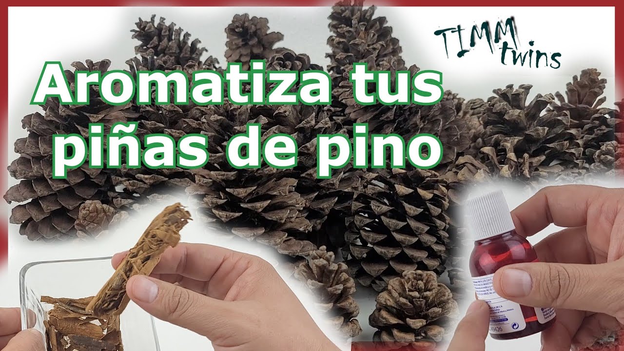 ⚱️🌟 Piñas de pino con olor a canela 🎄 Como aromatizar tus piñas- fácil😃 ...