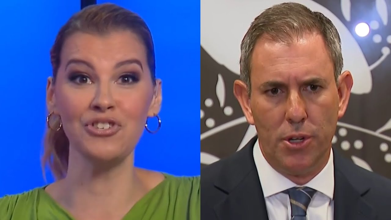 ‘Spending us into oblivion’: Sky News host unloads on Jim Chalmers over inflation surge