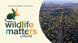 Kangaroo Island bounces back! A wildlife matters webinar with Pat Hodgens
