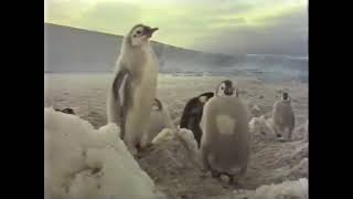 21 - The Landscape Channel - Art Of Landscape - Archive