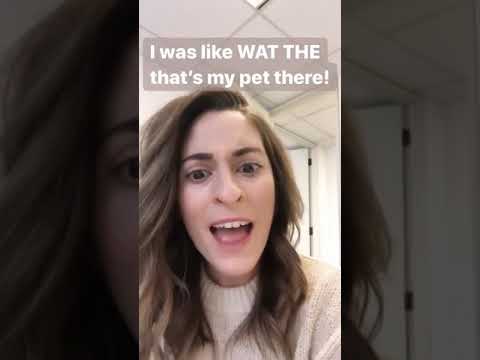 Cameo Pet