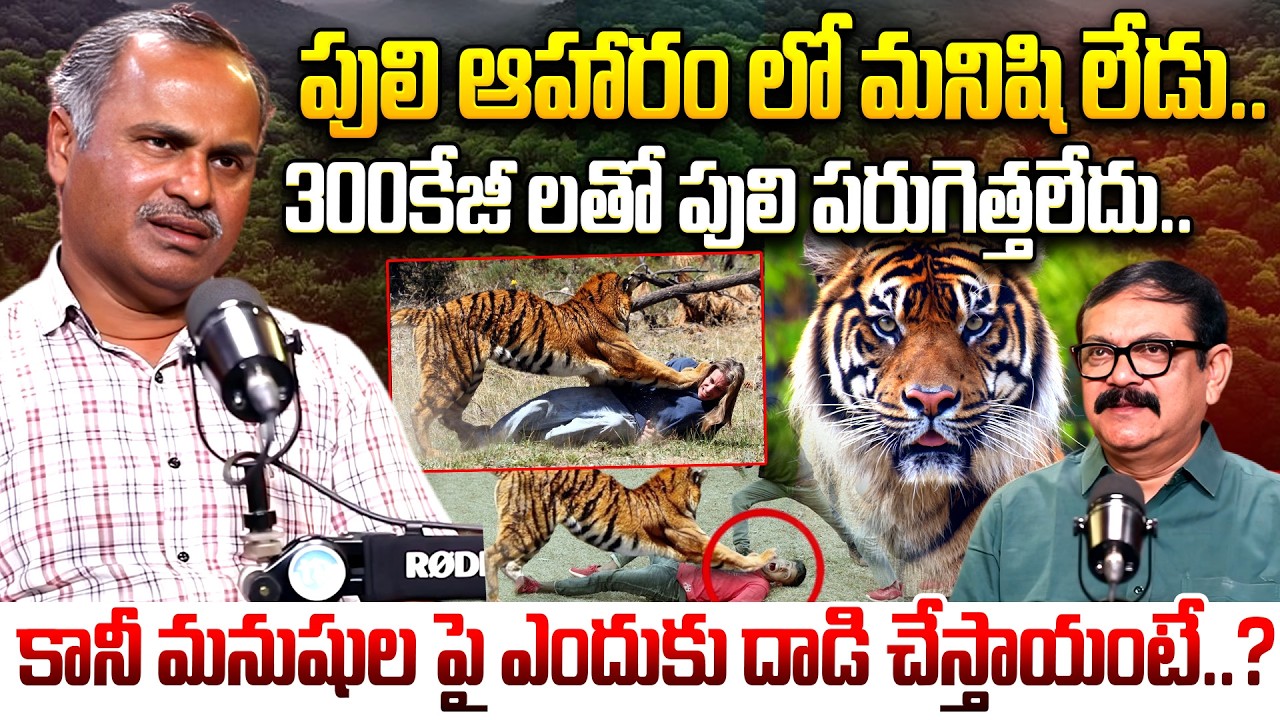 Ram Mohan,FDO, Jannaram About Why tiger Att-cks Humans | Tiger weight | Tiger Panja | iDream