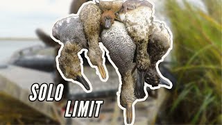 SOLO PUBLIC LAND LIMIT!! by Jesse Medina 147 views 1 year ago 3 minutes, 8 seconds