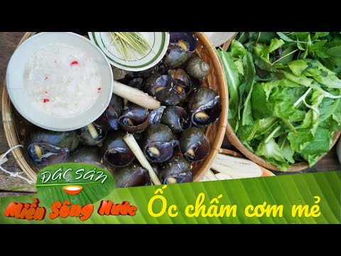 đặc sản miền nam làm quà Update ỐC CHẤM CƠM MẺ và CÁ LÓC HẤP MẺ - Món ngon khó cưỡng của miền Tây| Đặc sản miền sông nước