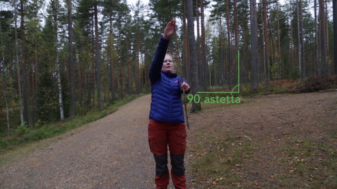 Puun pituuden mittaaminen