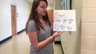 Latin Clips-Accusative