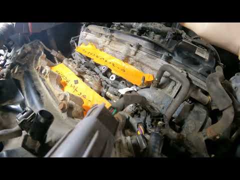 Tacoma knock sensor harness Rodent damage #customerstateswhat