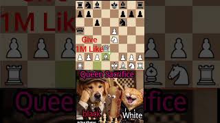 Indian Game Trap!!!💎💯#chess #chessgame #chessplayer #chesscom #chessloverIndian Game Trap