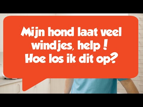 Video: Puppy-tot-hond-transformaties laten je wegtrekken van oververmoeidheid