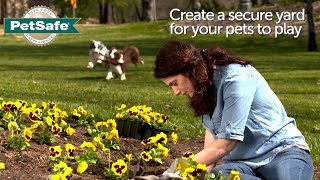 PetSafe® Basic In-Ground Fence™