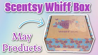 Scentsy May 2025 Whiff Box Subscription!