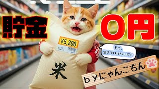 給料日前ネコの貯金残高０円の絶望...天から稼ぎ方が降ってきた