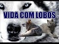 Vida Com Lobos - Life with Wolves (2005) (HD FULL SCREEN)