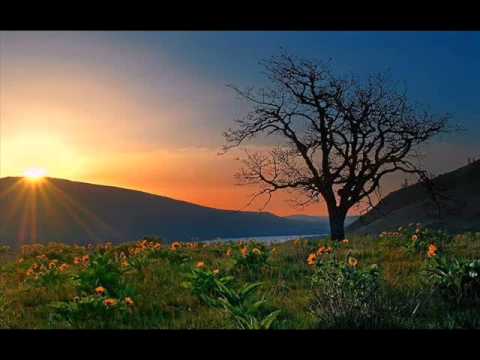 قلب حبيبي فوزية شوشان