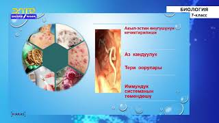 картинка: 7-класс  | Биология |  Жумуру  курттар тиби. Нематоддор  Өсүмдүк менен жаныбарлардын мителери