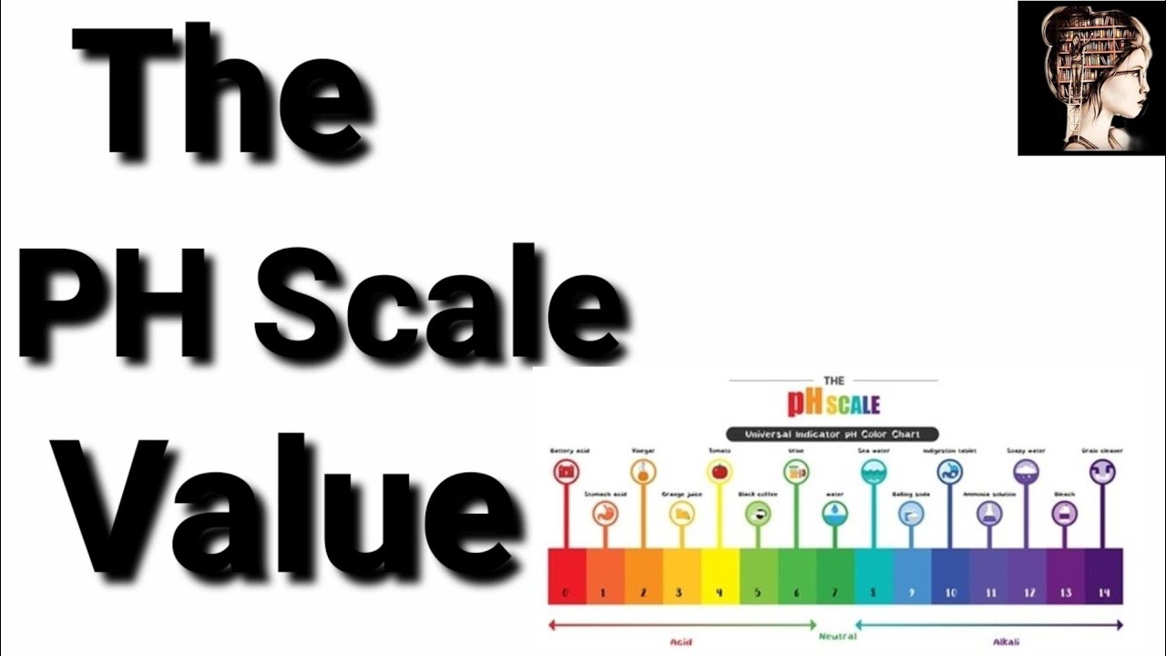 The PH Scale Value in hindi YouTube