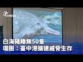 環境保護議題