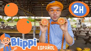 Recolectando Naranjas | Blippi Español | Videos educativos para niños