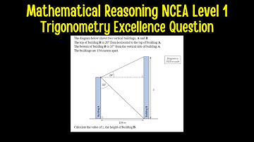 Mathematical Reasoning NCEA Level 1 - Trigonometry Excellence Question