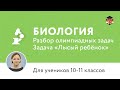 Биология | Подготовка к олимпиаде 2017 | Задача "Лысый ребёнок"