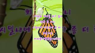 미안해요 ... 힘낼께요!!! #cover #노래 #jko #커버 #음악