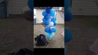 Gender Reveal celebration