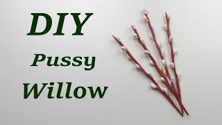 Pussy willow. Easter DIY