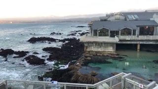 And now the low low tide! What a difference from this morning! | Live From The Monterey Bay