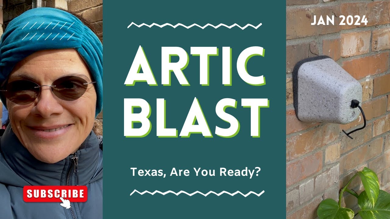 Texas, Are You Ready for Another Hard Freeze? Last Preps Before the
