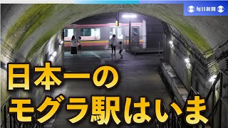 鉄道開業150年・駅のある風景　登山客でにぎわった日本一のモグラ駅は？