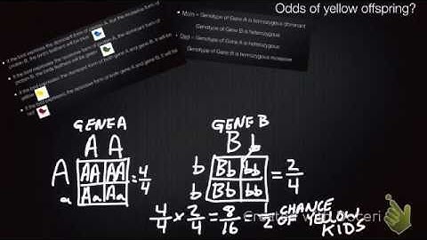 Polygenic traits final