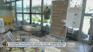Owner surrenders rise at All Kind Animal Initiative amid housing challenges