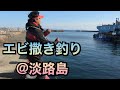 エビ撒き釣り【誘い〜アタリまで】【ウエちゃんの釣り動画】