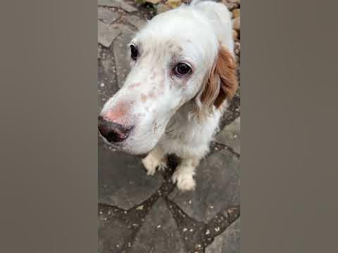 Сизые - YouTube