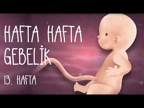 Video: 12 Alternatif Gebelik Kilometre Taşları