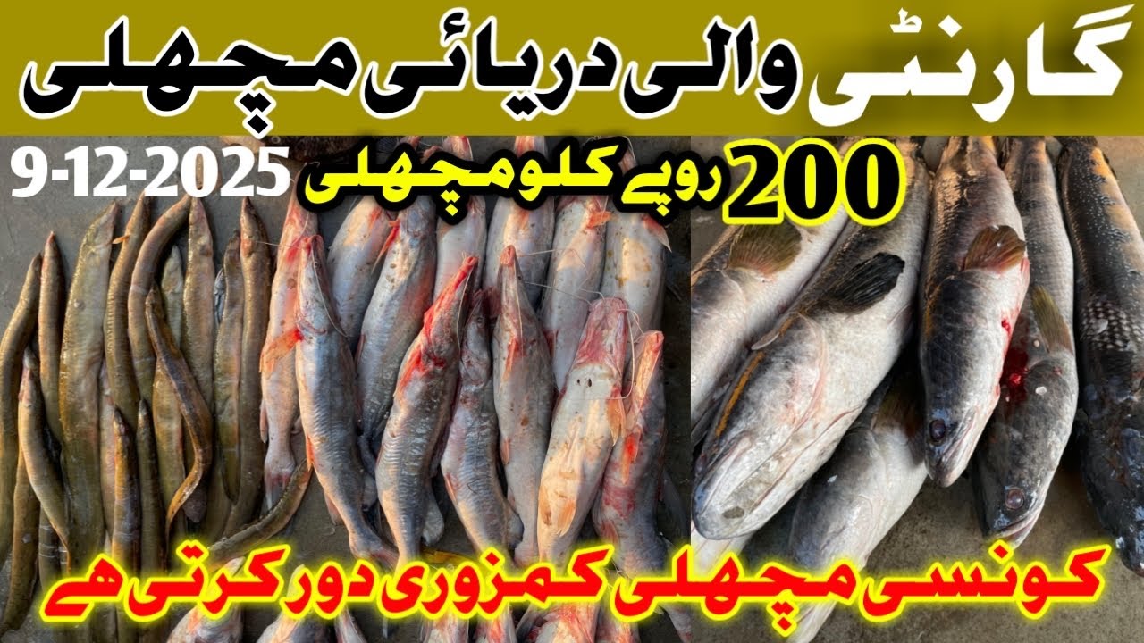 Lahore fish street food | lahore machli mandi | Taza rate machli mandi | Pakistan fish market
