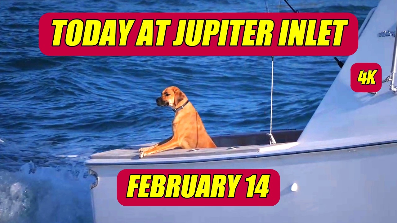 FEBRUARY 14 AT THE INLET IN 4K #boats #florida #roughinlets