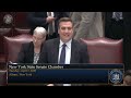 New York State Senate Session - 04/07/2026