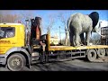 Nellie the Elephant packs her trunk - and travels on a huge truck!