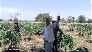 VID 20240316 113312