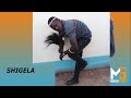 SHIGELA BHUHIMILA VURUGA 0622748361 Produced By Mbasha Studio