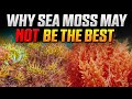 Unveiling the Truth: Is Sea Moss Really the Best Sea Plant on the Market?