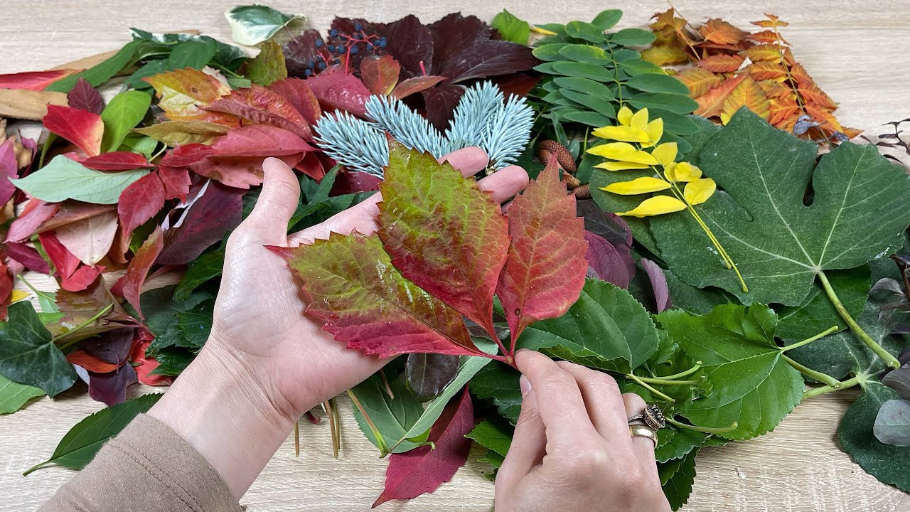 Sonbahar Yaprakları İle Yapılabilecek Efsane 6 Kendin Yap Fikri