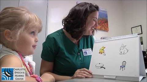 What to Expect in a Speech Evaluation