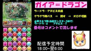【パズドラ】ガイア＝ドラゴン降臨　ラードラパノーコン【twitch配信】
