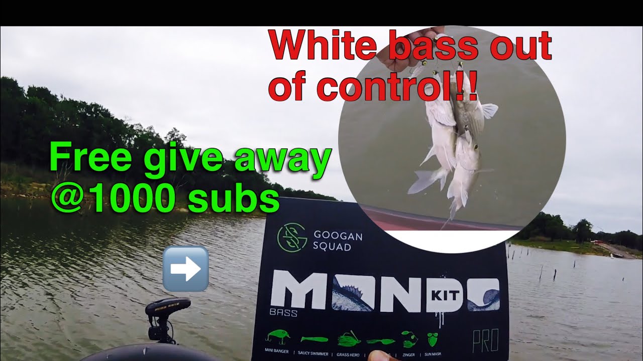 Lake Aquilla .. limiting out on white bass with BONUS catch at end of