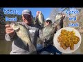 Toledo Bend Crappie Spawn (Catch &amp; Cook) Fried Crappie, Eggplant, Shrimp With Crawfish Etouffee