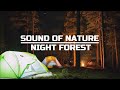 Звуки природы 10 часов | Ночной лес | Sounds of nature in the forest